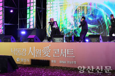 국화·에그·반려동물까지…황산공원, 가을 복합문화축제 한마당