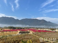 낙동강의 숨결이 고이는 아침, 고요히 물안개 바라보는 임경대