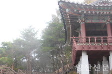 낙동강의 숨결이 고이는 아침, 고요히 물안개 바라보는 임경대