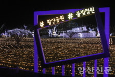 [포토] 도심 속 겨울 정원, 황산공원 불빛 점등