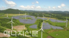 일방적 출력차단, 뿔난 태양광 발전사업자