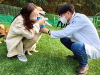 남구 애견운동공원서 무료 검진받으세요