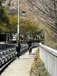 태화강 자전거도로 공사에 우회하다 사고 우려