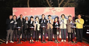 밤 벚꽃보러 무룡로 오세요