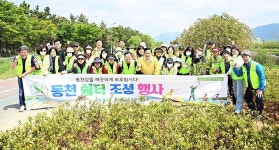 자연보호 울산북구협의회, 동천 시례잠수교 일대 영산홍 식재