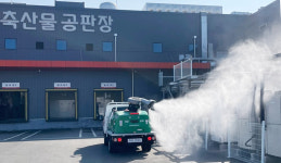 경남, 구제역 유입 방지 총력전