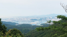 착한 선녀가 눈먼 용과 승천해 백년가약을 맺다