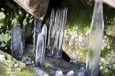 이번 여름, 나랑 여기 가지 않을래?