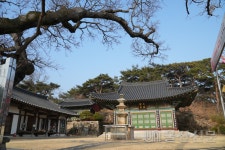 동구, 동축사 일대 사색의 길 조성