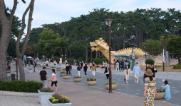 9일 울산 동구 대왕암공원 용놀이터 숲서 자원순환 나눔장터