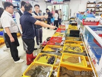 울산 정자활어직판장 수입 수산물 원산지 표시 특별점검