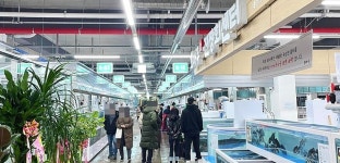 진장회수산센터→울산회시장 새단장     24~26일 울산 날로 먹는 축제 개최