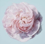 16인 작가들과 함께 뮤즈세움 연말 기획 세움전