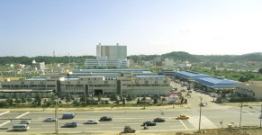 제2 농수산물도매시장 북구 건립 예정지 상반기 중 확정