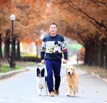 밀양시, 23일 밀양 독 페스티벌 개최