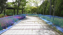 중구, 두꺼비 이동 기간 장현저류지 임시 울타리 설치 차량 통제