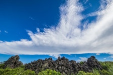 마음을 읽어주는 제주