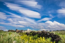 마음을 읽어주는 제주