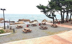 울산 동구, 주전 보밑항 피크닉장 무료 시범 운영