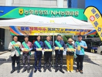 울산 웅촌찰옥수수 맛보기·판매 홍보