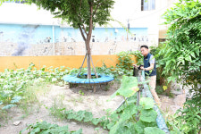 혈세 들여 만든 울산 중구 골목쉼터, 개인텃밭으로 전락