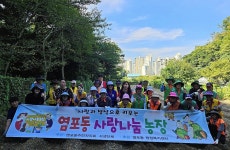 울산 북구 염포동 주민자치회·자생단체, 사랑나눔 농장 무 파종