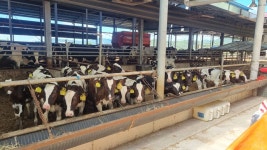 경남도, 녹조 대응 가축분뇨 관련시설 합동 점검 실시