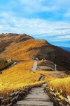 태화강국가정원·대왕암공원·영남알프스 울산 대표 관광지 3곳 한국관광 100선 선정