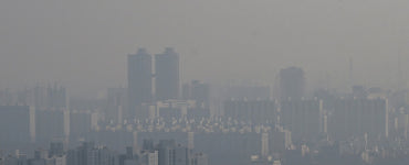 울산 주말까지 추위 대신 미세먼지