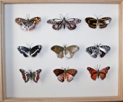 봄맞이 새단장 북구생활문화센터