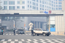 2013년 대형 산불 복원전 또 화마