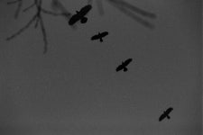 회귀(回歸) ··· 바람의 흔적