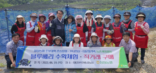 울산 청량농협, 블루베리농장 일손 돕기