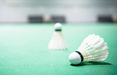 건강하고 풍요로운 삶을 위한 일상 속 문화로 정착