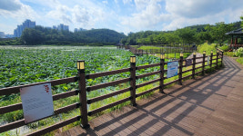 태화연 오토캠핑장 시화작품 설치