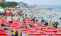 피서객으로 북적이는 울산 진하해수욕장