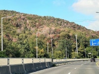 천마산 등산로·무룡산 임도 정비한다