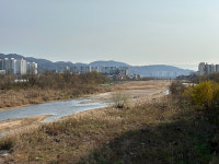 약수교~천곡교 사이 동천 둔치에 신설 가닥