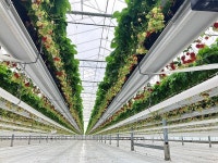 경남도, 청년농업인 안정적 정착 돕는다