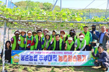 울산 웅촌농협, 영농철 키위농장 일손돕기 구슬땀