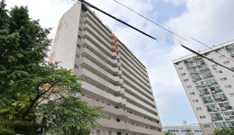 한진 사진 3