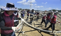 SR, 청양군서 수해입은 농가복구에 힘보태