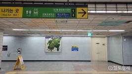 [生生환승] 부산판 극한 환승 대표역 부산 벡스코역