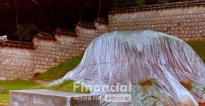 [역사속 경제리뷰] 파평 윤씨 vs 청송 심씨, 400년 산송(山訟)