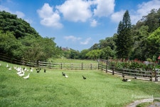 평범함에 싫증 난 그대에게 권하는, 대만 레저농장 투어