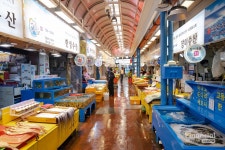 [김민수 작가의 어설픈 제주이야기 6] 가끔은 제주 원도심 1