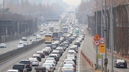 눈앞에 갑자기 나타난 사인카, 사고 나면 90% 내 책임?