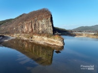 30년을  한결같이 흰옷으로만 갈아입은 영양 자작나무숲