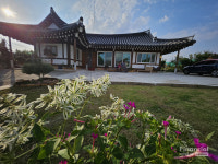 [이동미의 여행 테라피] 순천 쉴랑게 도장 깨기...몽실고막이네민박 파도와 꼬막, 모든 순간이 바다가 되다