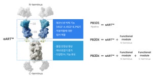 삼중항체? 아니, 삼중표적 융합단백질…혜성처럼 날아온 파노로스